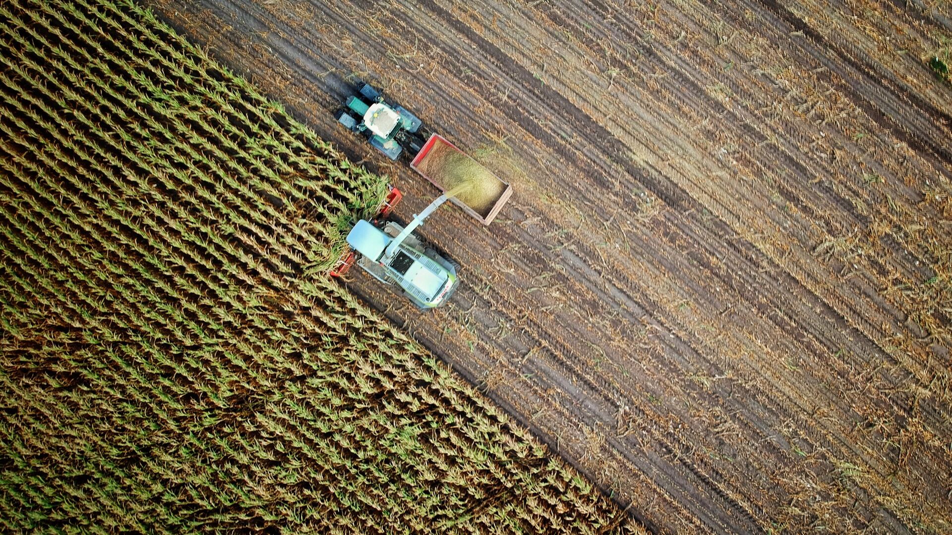 L’AGRICULTURE est un domaine indispensable pour...